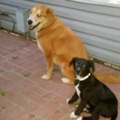 Courtney Wolf's photo