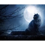 Alix Wade's photo