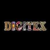Digitex Printing's photo