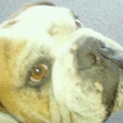 Eric Olsen's photo