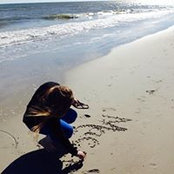 Macee Crowton's photo