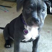 Chelene Deshazier's photo