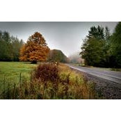 Julene Nikolac's photo