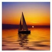 Peter Wojcieszak's photo
