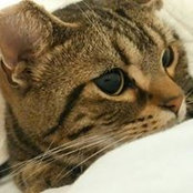 Mitsuo Hamazaki's photo