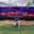 Murals by Matt