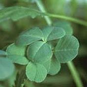 Bridget Haggerty's photo