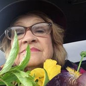 Patty Kiefer's photo