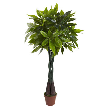 4' Money Real Touch Plant
