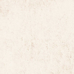 Alchimia Ivory - Wall & Floor Tiles