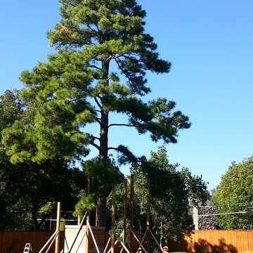 Dunn Treehouse