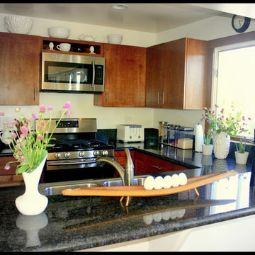 Contemprary Galley Kitchen