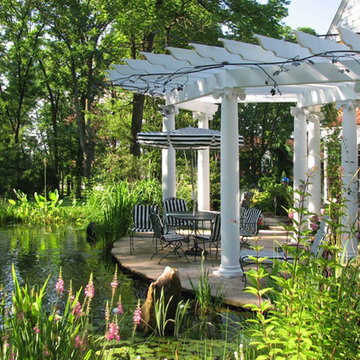 Aquatic Sanctuary
