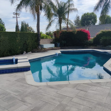 swimming pool contractor