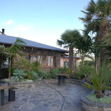 Coastal Palm Garden