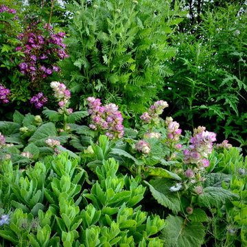 flowering vegetable garden