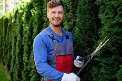 Maintain Your Garden With Professional Landscape Gardeners In Australia
