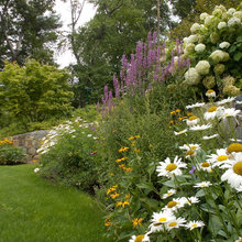Plants