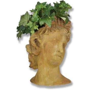 Apollo Head Planter 17, Greek and Roman Busts