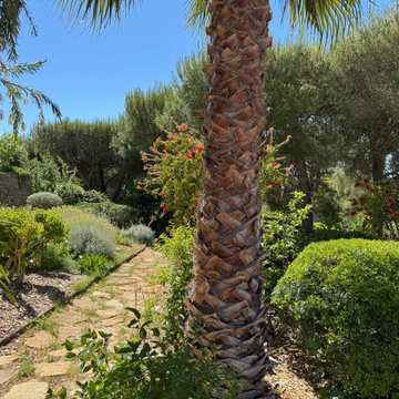 La Ciotat (Bouches du Rhône) - Jardin méditerranéen en restanques