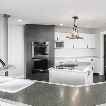 Abbotsford Penthouse Renovation