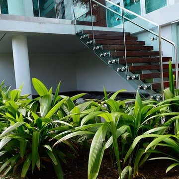 Palm Island Residence