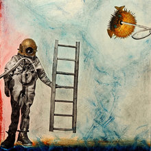 Fish and Ladders