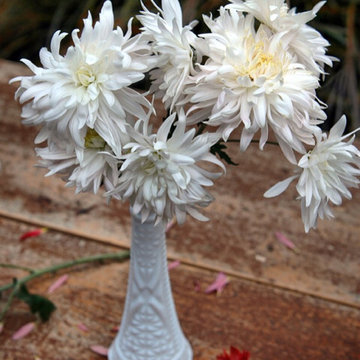 Slow Flowers November 2019 - design inspiration with heirloom chrysanthemums