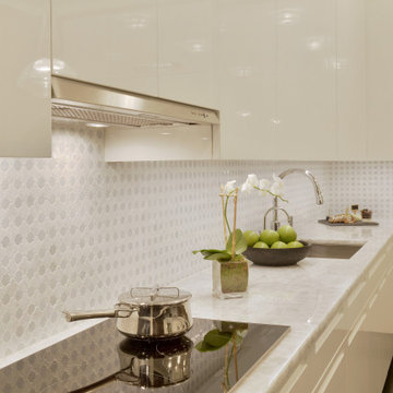 Contemporary White Kitchen with a Traditional Twist