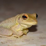 Steffen Soult's photo