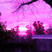 Judy Abbott's photo