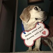 Renee Brockmann Bohm's photo