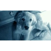 Cathy Quinns foto