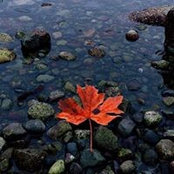 Foto von Pam Pullen