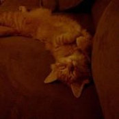 Kathy Schmidt's photo