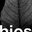 Bios Architecture