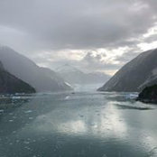 Judy Ferree's photo