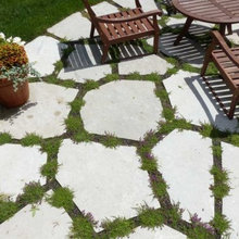 Landscape Ideas