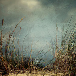 Beach/Water - Photographs