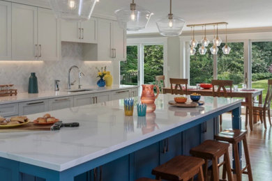Transitional Harmony | Whole-Home Remodel | Newton, MA