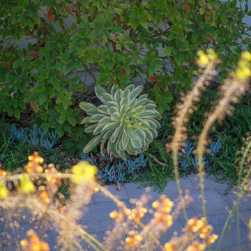 Costa Mesa