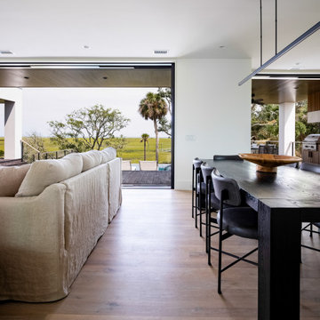 Island organic modern