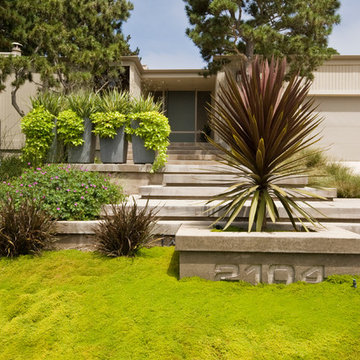 Hall Residence