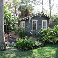 back yard