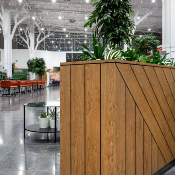 Food Court Interior — MEGA Parnas Shopping Center, Saint Petersburg