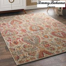erwin foyer rug