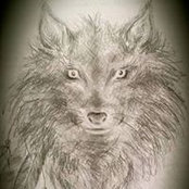 Marion Perrin's photo