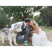 Toby White's photo
