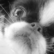 Brittany Rubbo's photo