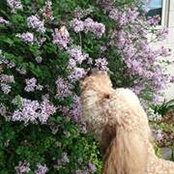 Julie Kudron's photo